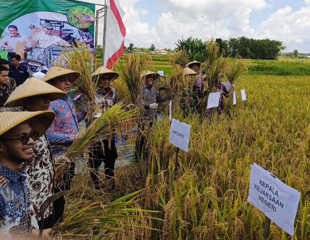 Bupati Pamekasan, KH. Kholilurrahman didampingi Wabup Pamekasan, Sukriyanto bersama Forkompinda tengah melakukan panen raya padi.