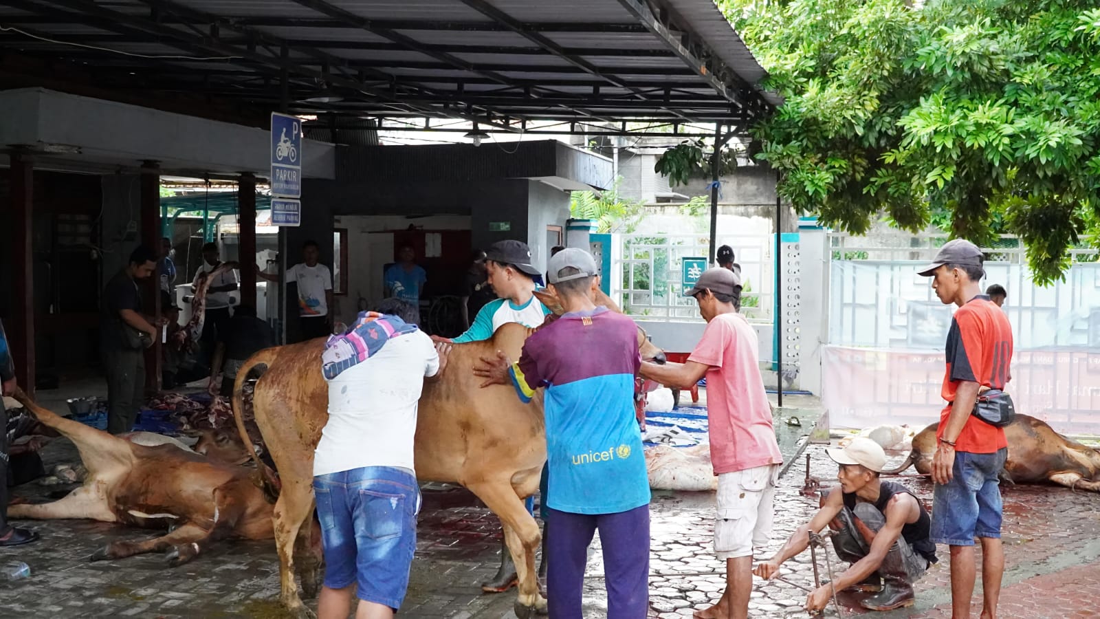 Keterangan foto: suasana penyembelihan hewan kurban di halaman kantor PLN UP3 Madura.