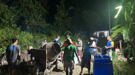 Warga dan pemuda Desa Komis tengah melakukan perbaikan secara gotong royong 