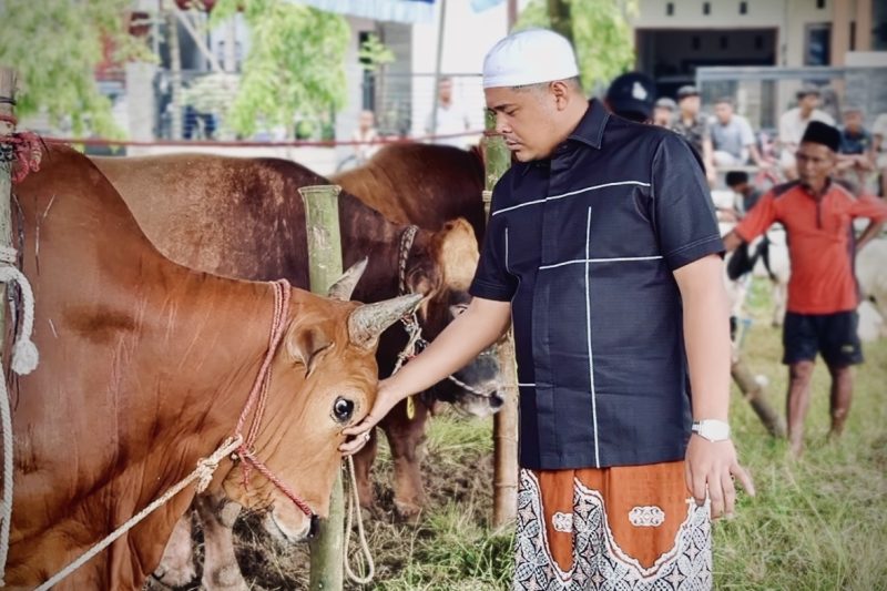 Andi Ali Syahbana 