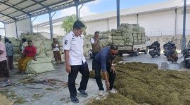 Pembelian tembakau di salah satu Gudang Tembakau di Pamekasan.