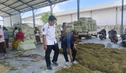 Pembelian tembakau di salah satu Gudang Tembakau di Pamekasan.