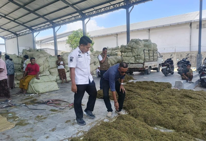 Pembelian tembakau di salah satu Gudang Tembakau di Pamekasan.